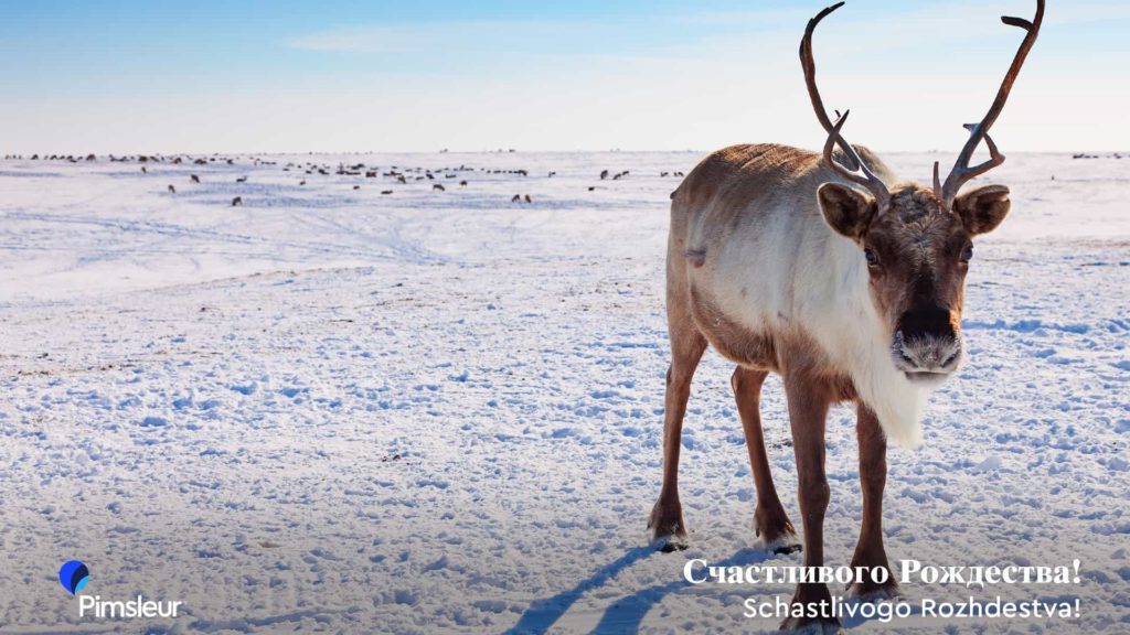 Free Holiday Zoom Background Russia