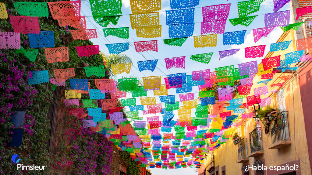 cinco de Mayo Zoom backgrounds free travel