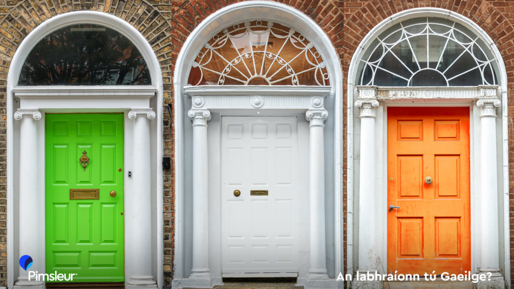 St Patrick's Day Zoom Background Dublin Ireland