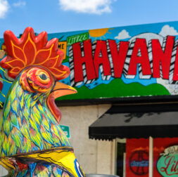 Miami food tour little havana