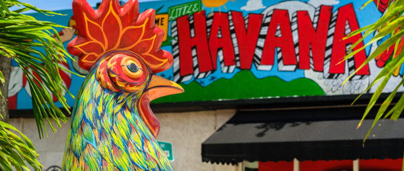 Miami food tour little havana
