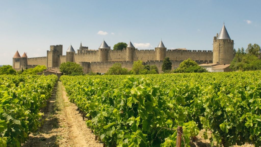 Carcassonne vineyards Languedoc Roussillon French wine region Côte-du-Rhône Loire Provence