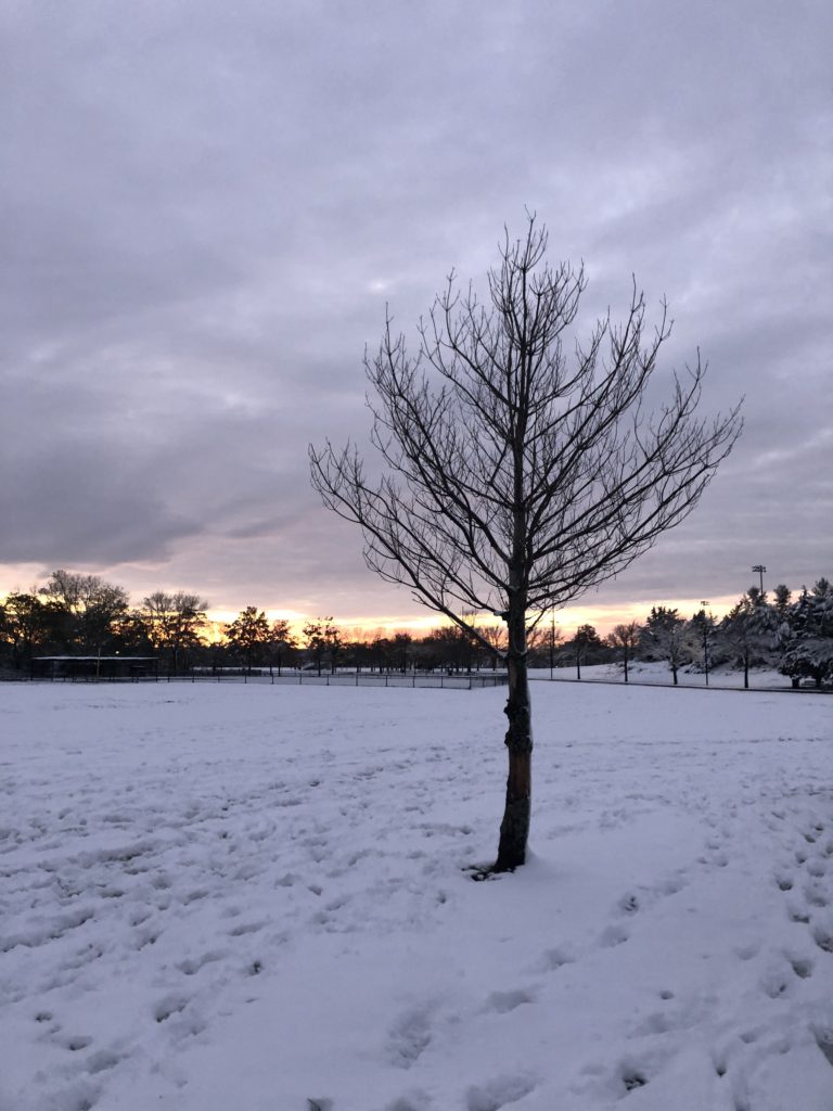 how to pronounce Friluftsliv translation