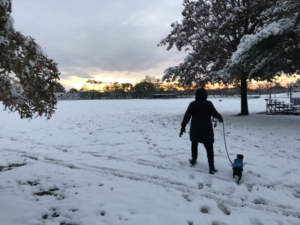 Friluftsliv Translation Pronunciation
