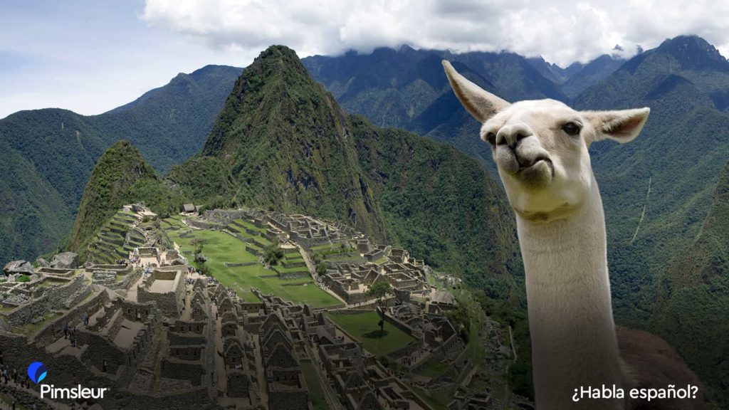 Free Language and Travel Zoom Backgrounds from Around the World