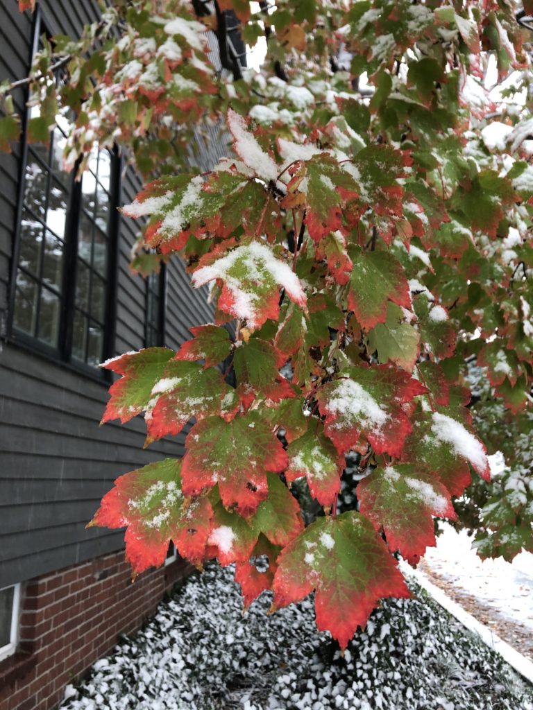 What Is Friluftsliv? Scandinavian Norwegian Philosophy