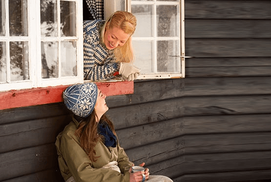 Danish Overview Image