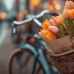 amsterdam weekend plan