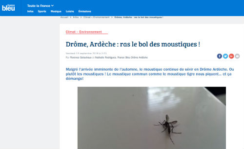 french gestures and greetings