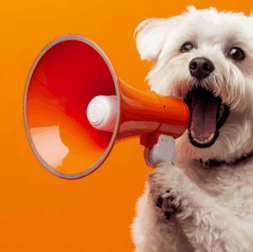 funny spanish idioms