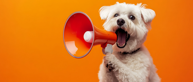 funny spanish idioms